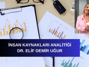 İnsan Kaynakları Analitiği, Veri Analizi ve İKA, İş Gücü Planlaması, Performans Değerlendirme, İK Stratejileri