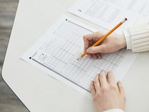 Kişilik Envanteri Erişim Kodu